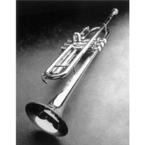 imagen sobreClases de trompeta Oviedo, clase de saxo Oviedo